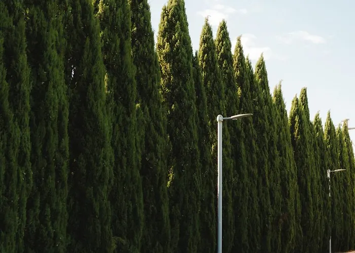 Hotel Tenuta Inagro 4*